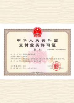 阜沙镇荣誉证书